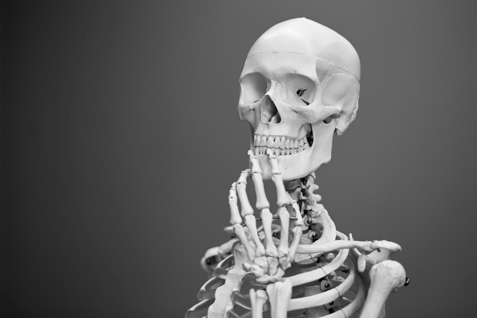 AnatomyOne for Professionals