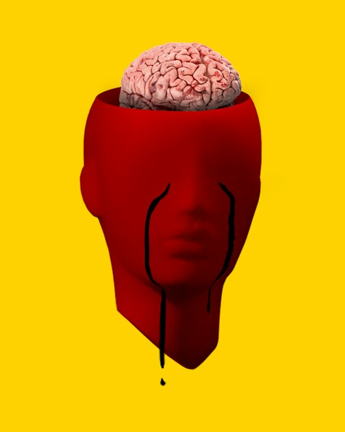 Getting Started with AnatomyOne