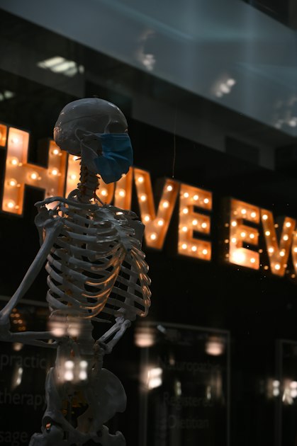 AnatomyOne: A Student’s Guide