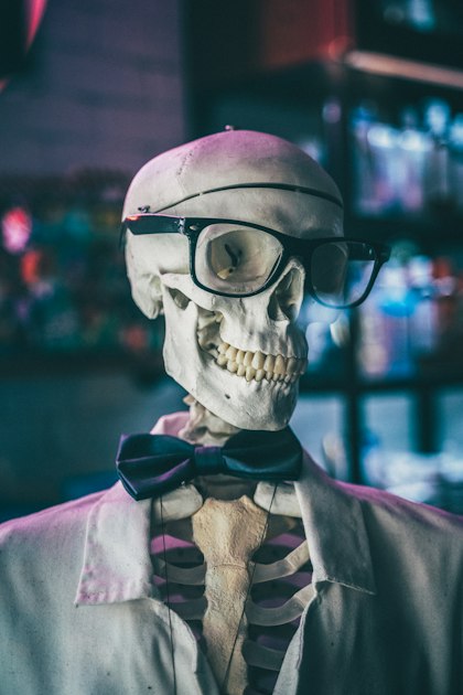 Future of Anatomy Education with AnatomyOne